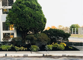 Mulching and Landscaping