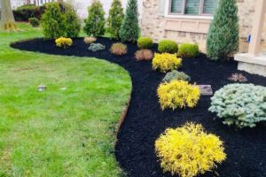 Mulching and Landscaping
