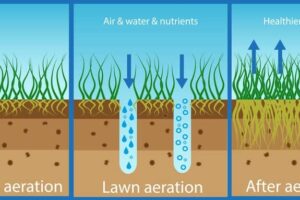 Lawn Aeration Chart