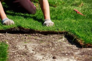Sod Installation