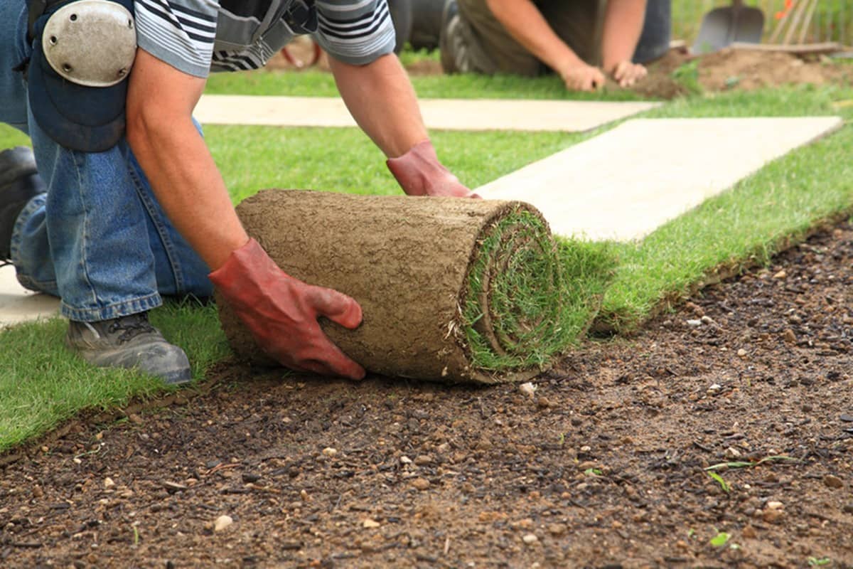 Top Soil Sod Installation Shenandoah Property Services 540.773.3843