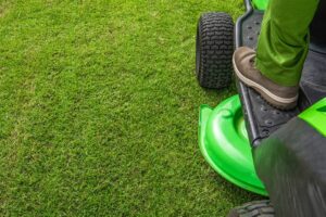 Mowing and Landscaping
