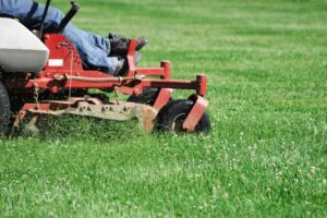 Mowing and Landscaping