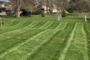 Mowing and More!