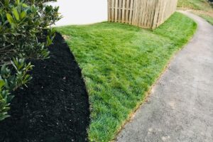 Mulching and Landscaping