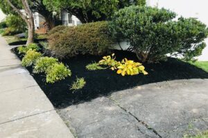 Residential Planting and Landscaping
