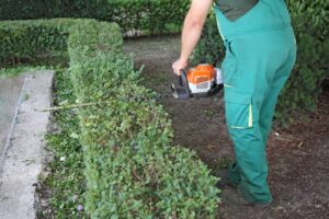 Shrub Trimming