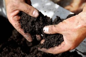 Top Soil